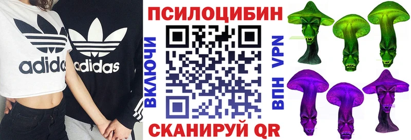 Купить где  Невель  Псилоцибиновые грибы Psilocybine cubensis 